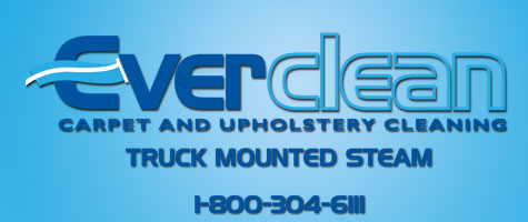 Everclean Carpet Cleaning